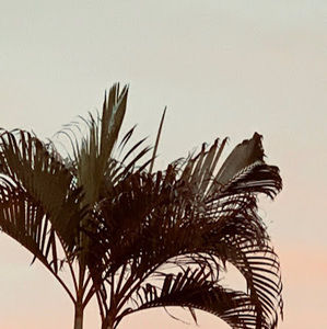 Meet your Posher, Jace